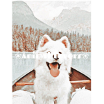 Animal luvers <3 (positive people)