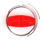 The Beholder