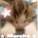 _Merchs_