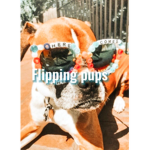 Flipping pups