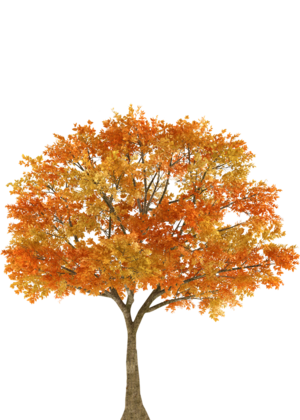 Square Decal