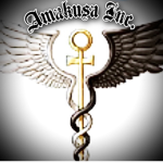 Amakusa Inc.