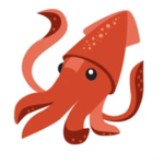 THE AMAZING SQUIDS