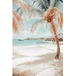 - Pink Lemonades Sunshine’s -