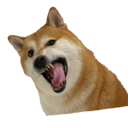 Doge city