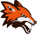 F0X TEAM