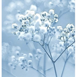 ♡̷̷