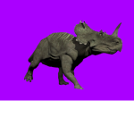 PREXEL ARMY