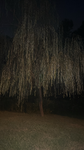 F.r.e.a.c.k.s
