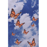 Ruby’s Butterfly’s
