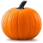pumpkin fit