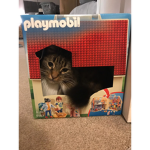 ALL HAIL MY CAT LOGAN