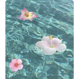 🌸