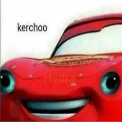 Meme. Roblox decal