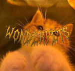 WNDR (WONDER PETS)