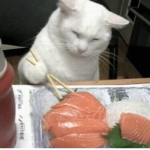 ハローキティ