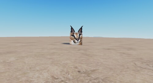 Floppa's pvp land (own gear allowed)