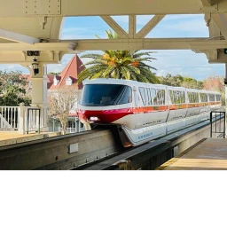 Walt Disney World Display  icon