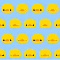 Duck Land