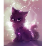 Fani kitty