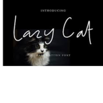 Lazy cats only