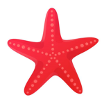 Studio Starfish
