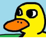 sussy duck clan