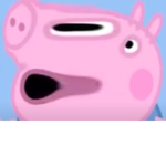 STOP ####### AND ###########