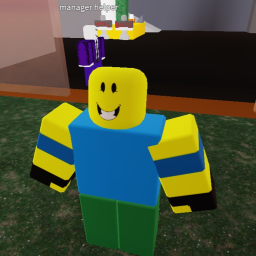 the shirt store