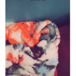 Brisne_honey