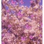 ~butterfly habitat~