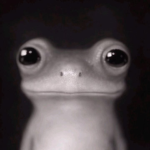 Cortiex