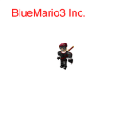 BlueMario3 Inc.