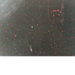 Diego’s groups