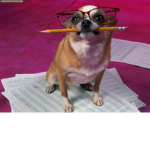 Pencil Doges
