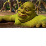 Shrek your mom