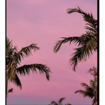aesthetic tie-dye