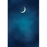 Republic Of The Night