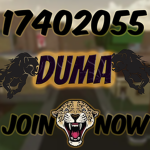 Duma Official