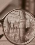 HP FANS 4EVER
