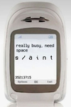 S/aint