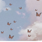 Amelia’s Butterflies