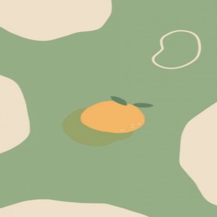 [IKO] orange w green background Roblox decal