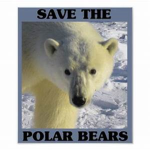 Flying Polar Bear Group (Save the Polar Bear)