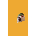Ewwwrobux