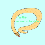 The SuperCondas!!!