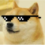 Doge's Comfy Cottage