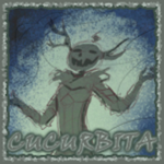 Cucurbita