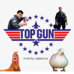 ~ Top Gun ~