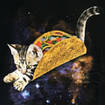 Taco-cats